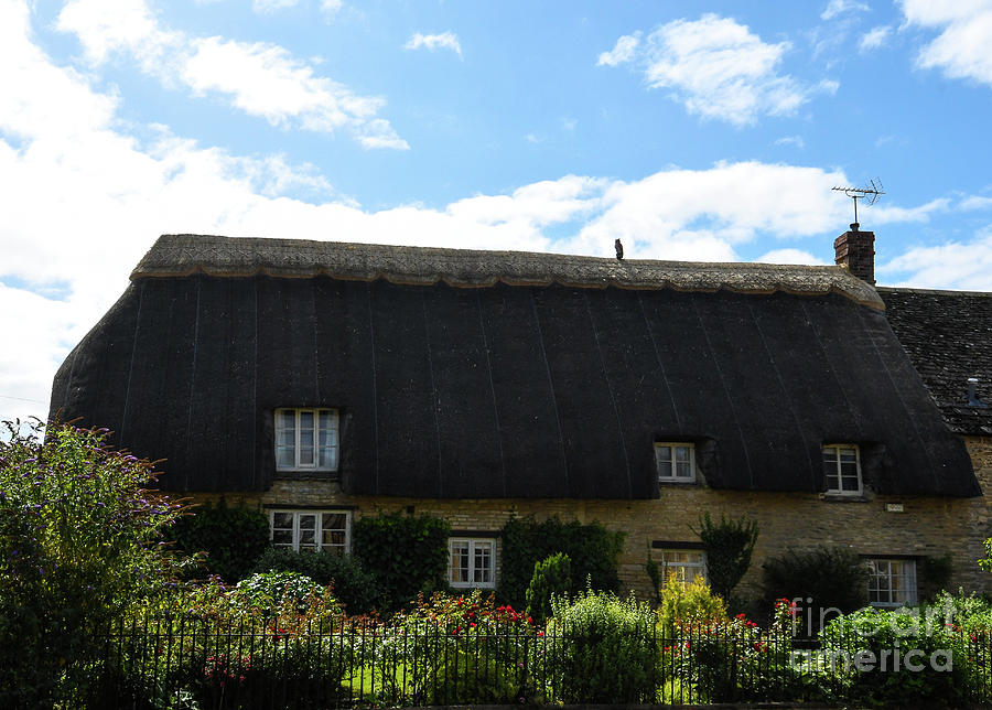 Thatched Roof Cottage Photograph by Abigail Diane Photography