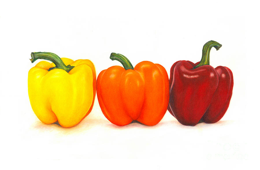 The 3 Peppers Drawing by Belinda Botha Fine Art America