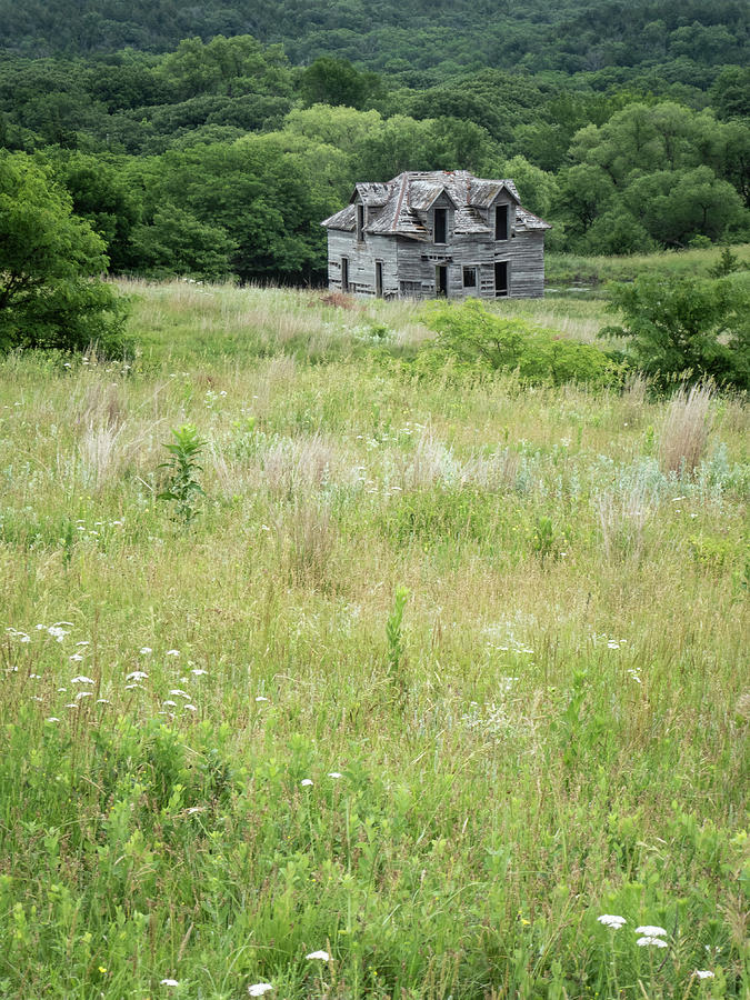 The Abandoned Farm in Summer Photograph by Mary Lee Dereske