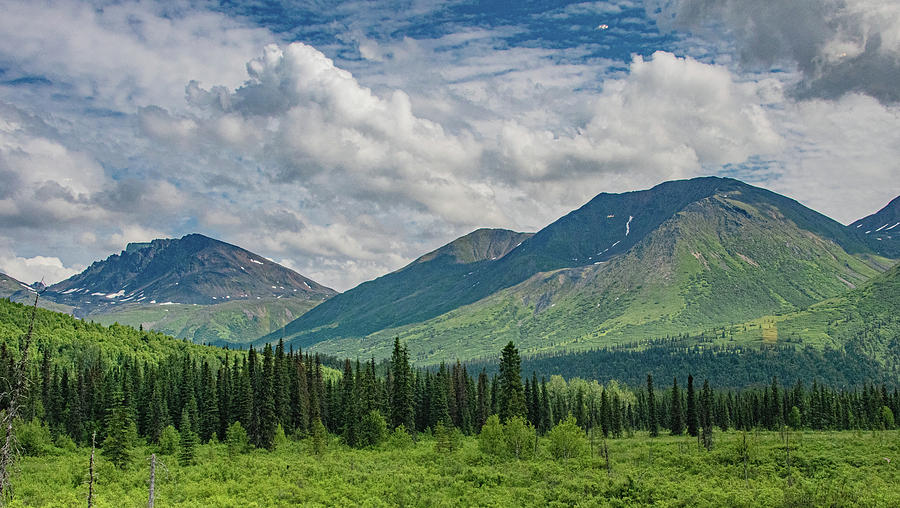 Scenic Alaska From Anchorage to Denali Photograph by Marcy Wielfaert