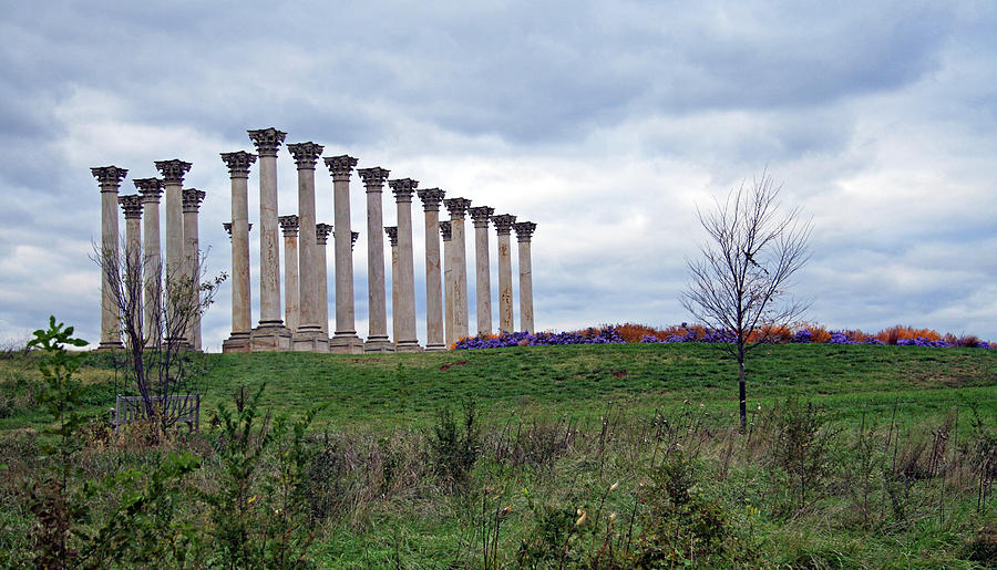 The Almost Forgotten Columns -- 2 Photograph by Cora Wandel