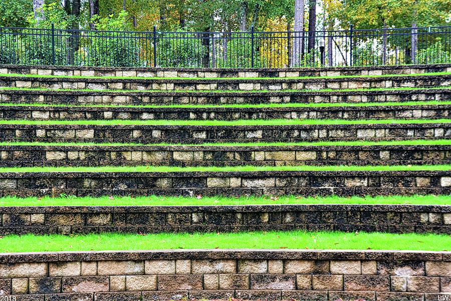 The Amphitheater Steps At Irmo SC Community Park 2 Photograph by Lisa Wooten