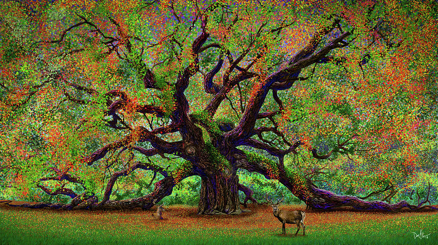 The Angel Oak by Don Olea The Angel Oak by Don Olea