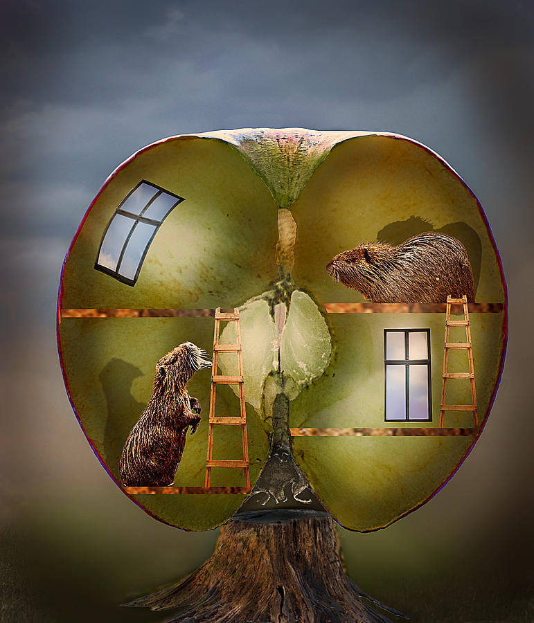 Fantasy Photograph - The Apple House by Gabrielle Halperin