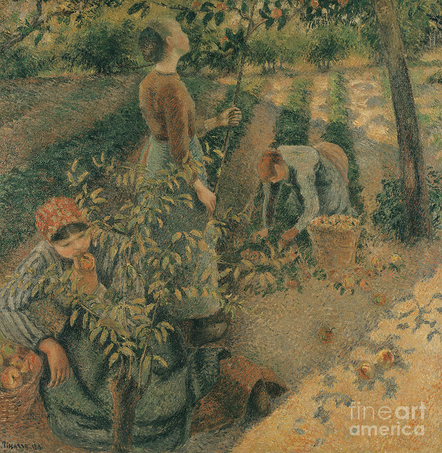 The Apple Pickers, 1886 Painting by Camille Pissarro