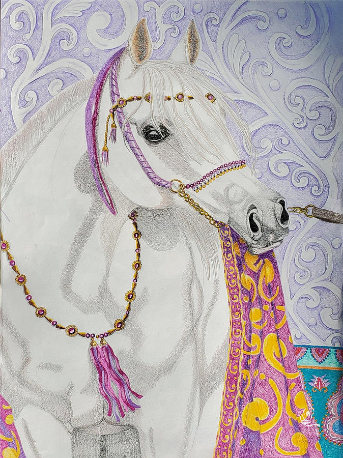 The Arabian Horse Jewel of the Desert Drawing by Equus Artisan