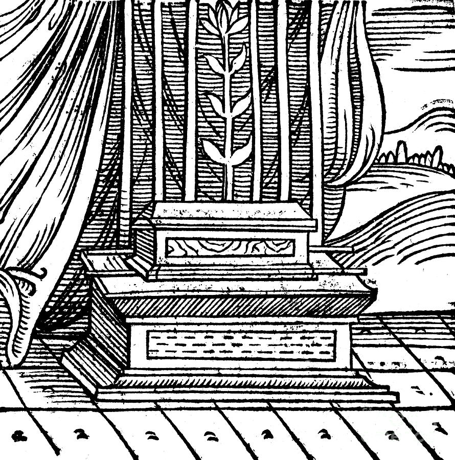 The Ark Of The Covenant, 1557 Drawing by Print Collector Fine Art America