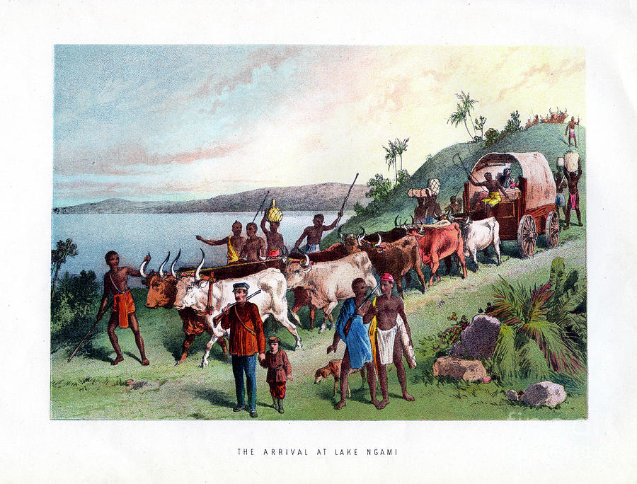 The Arrival At Lake Ngami, 19th Century Drawing by Print Collector