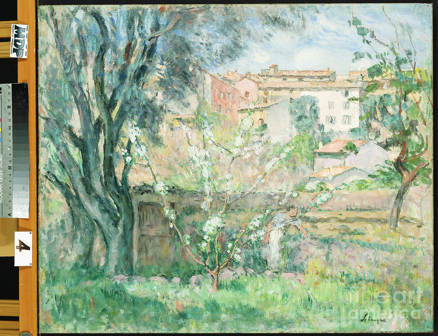 The Artists Garden At Cannet, 1931 Painting by Henri Lebasque
