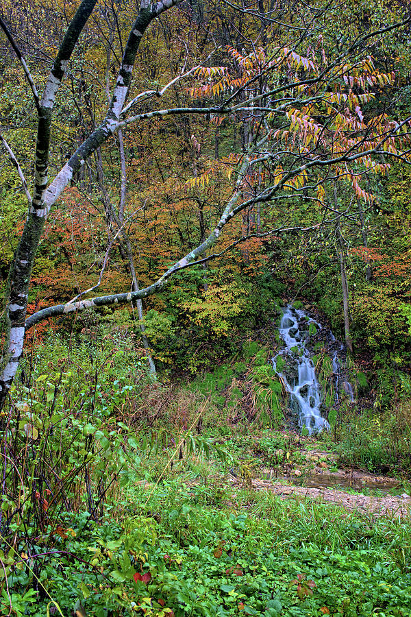 The Autumn Flow 3 Photograph by Bonfire Photography