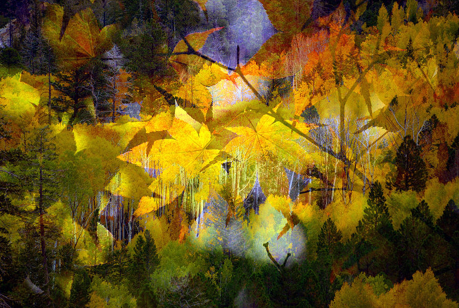 The Autumn forest Mixed Media by David Lee Thompson