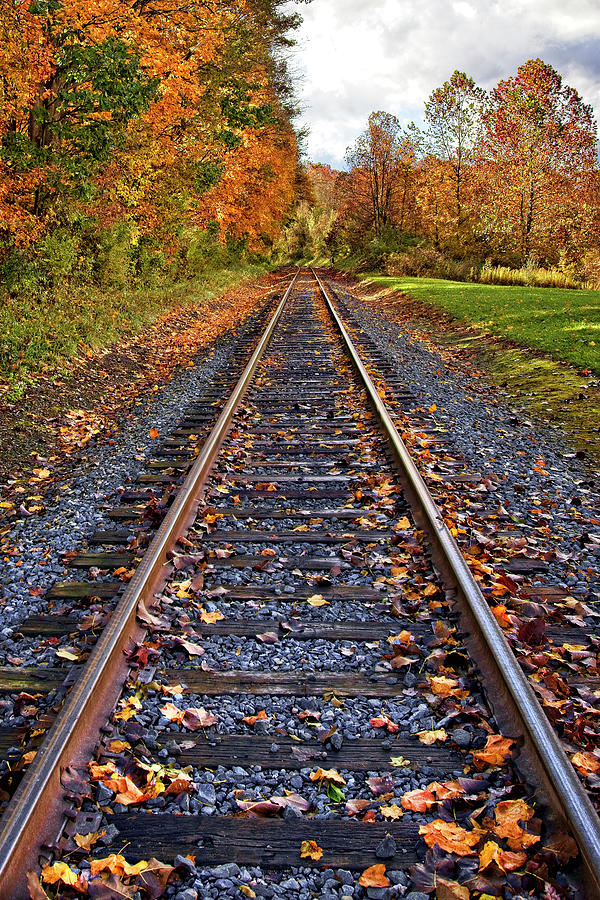 journey into autumn