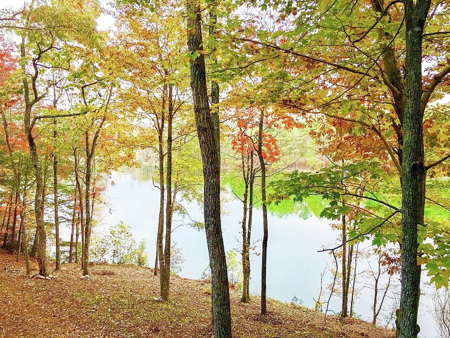 The Autumn Lake Photograph