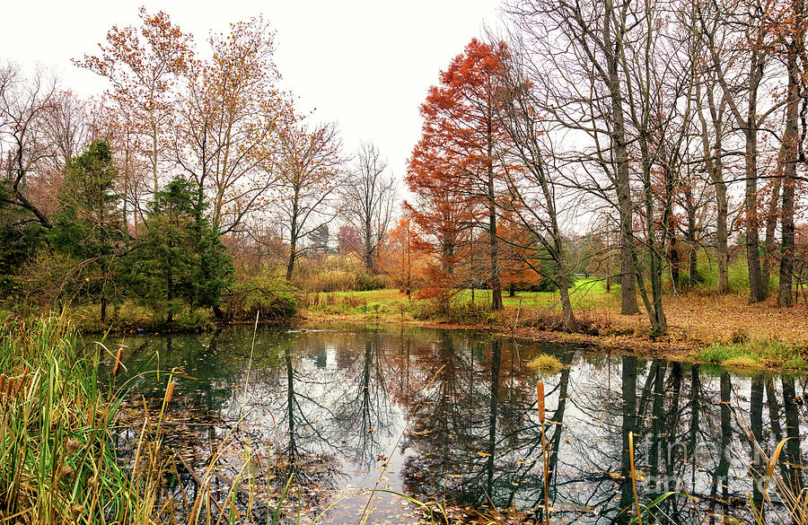 The Autumn Pond at Rutgers Gardens Photograph by John Rizzuto