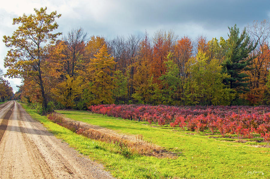 The Autumn Road Photograph by Ken Figurski