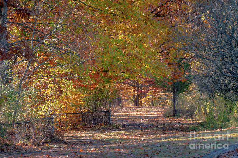 The Autumn Trail by William Norton The Autumn Trail by William Norton