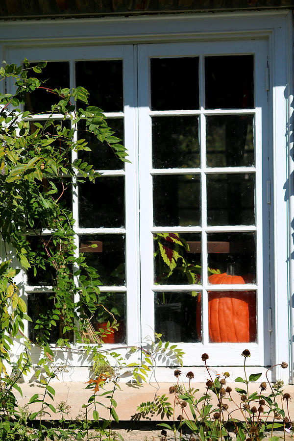 The Autumn Window Photograph by Living Color Photography Lorraine Lynch