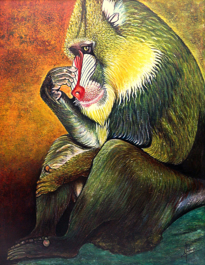 The Baboon Painting by Jackie Nourigat