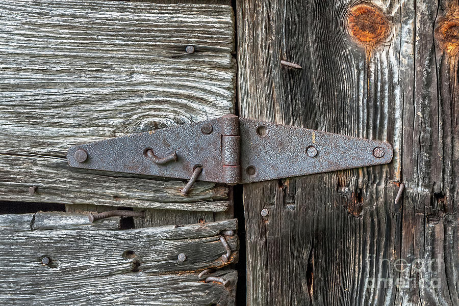 The Back Door Photograph by Bernd Laeschke