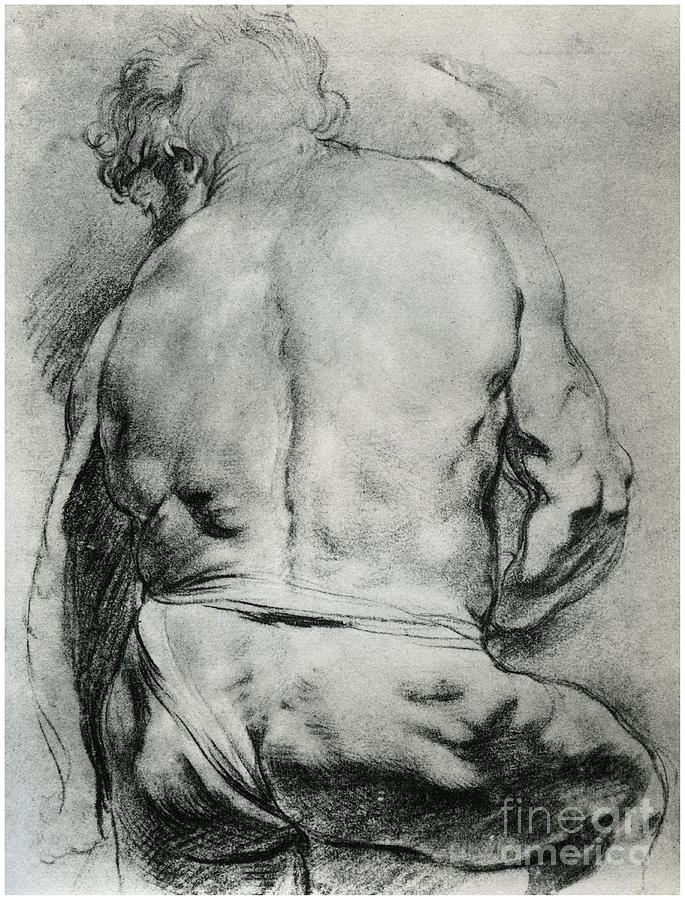 The Back Of A Nude Man, C1610 1958 Drawing by Print Collector