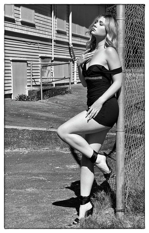 The Backyard Fence by Doug Matthews The Backyard Fence by Doug Matthews