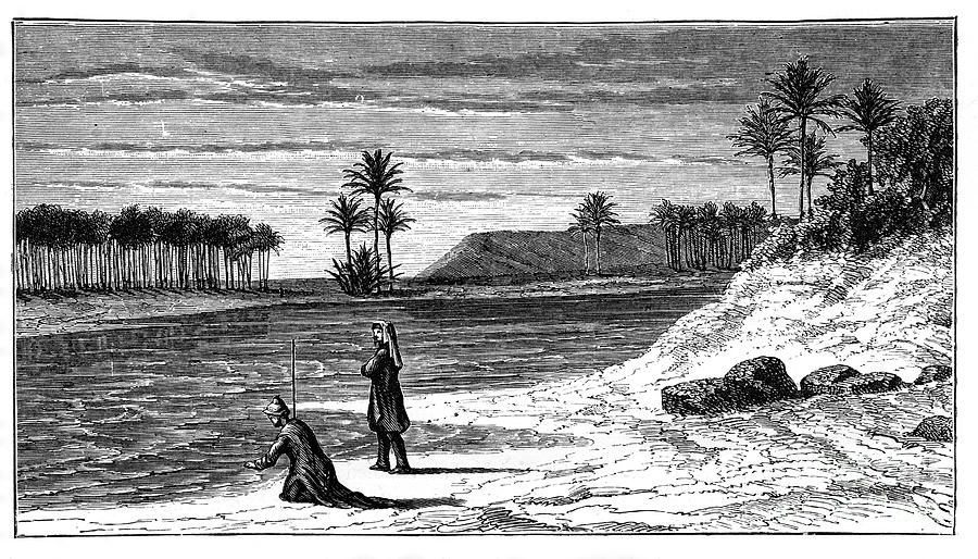 The Banks Of The Euphrates, C1890 Drawing by Print Collector