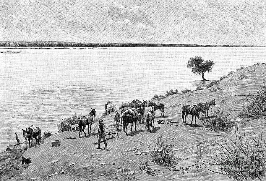 The Banks Of The Rio Neuquen Drawing by Print Collector