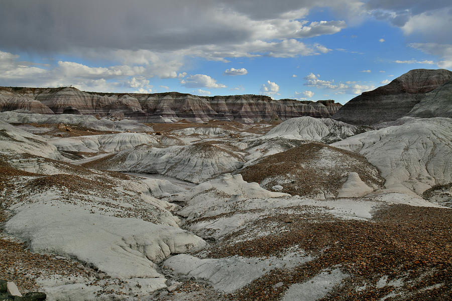 The Basin of Blue Mesa in Petrified Forest Photograph by Ray Mathis