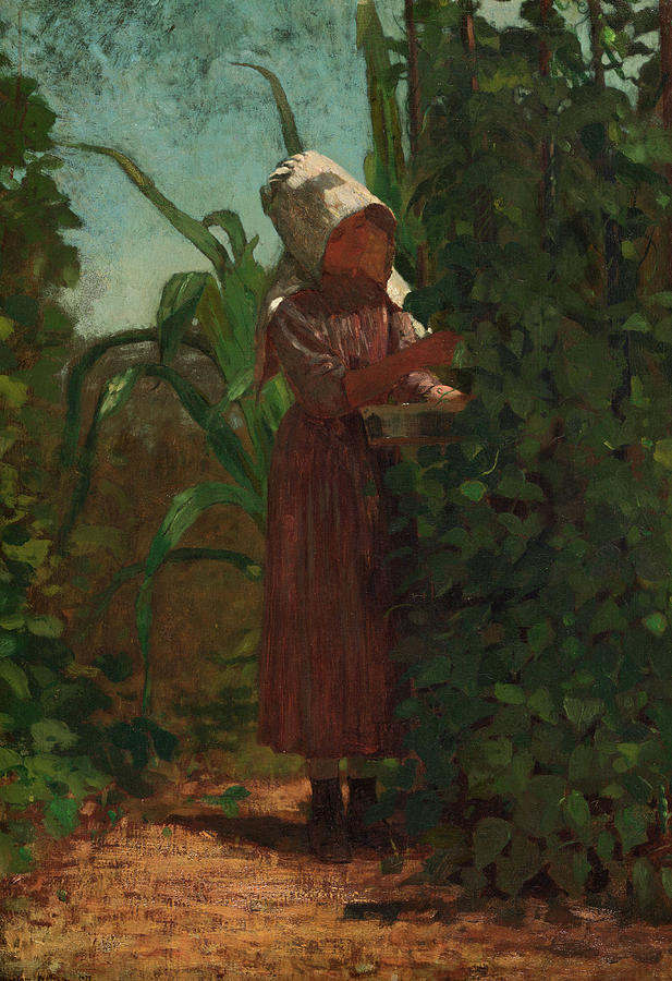 Winslow Homer Painting - The Bean Picker, 1876 by Winslow Homer Winslow Homer Painting - The Bean Picker, 1876 by Winslow Homer