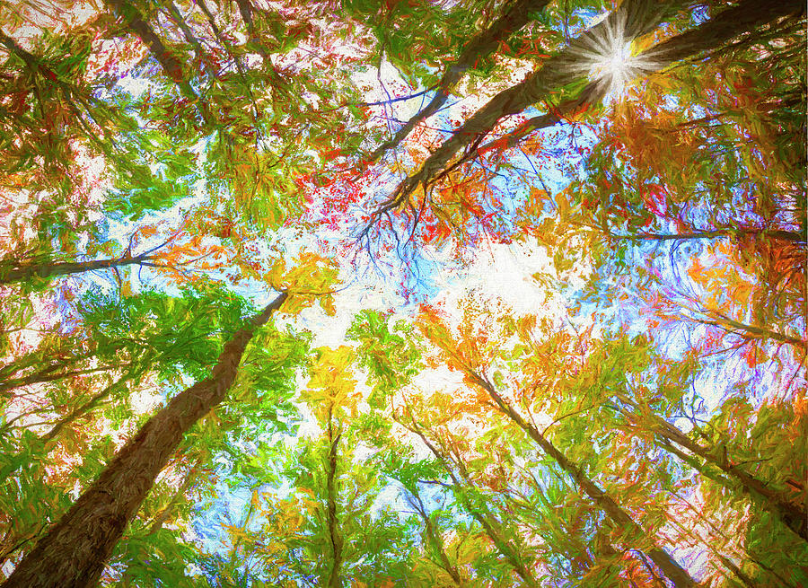 The Beautiful Colors of West Virginia Photograph by Will Moneymaker The Beautiful Colors of West Virginia Photograph by Will Moneymaker