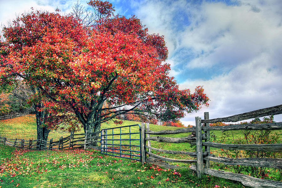 The Beauty of a Blue Ridge Autumn Photograph by Dan Carmichael
