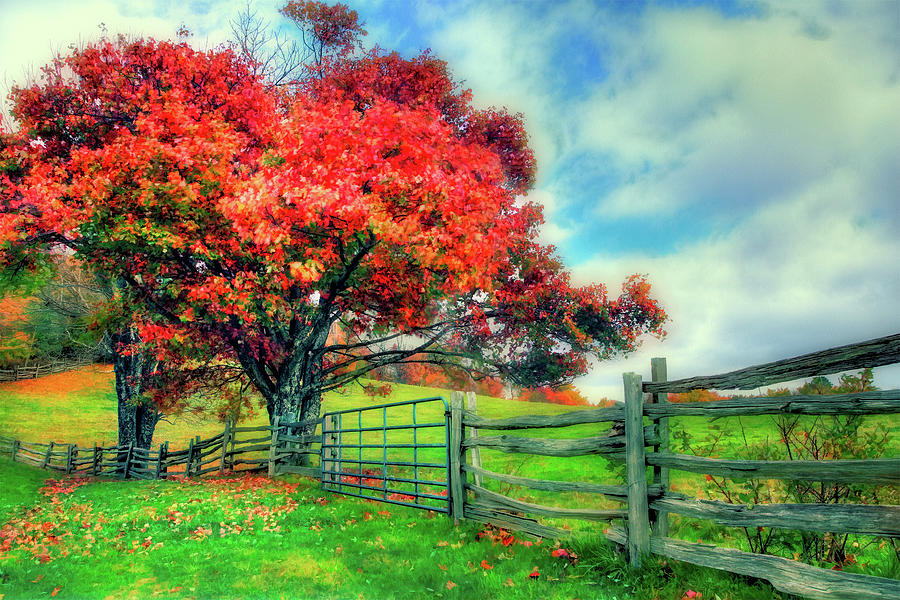 The Beauty of a Blue Ridge Autumn FX Photograph by Dan Carmichael