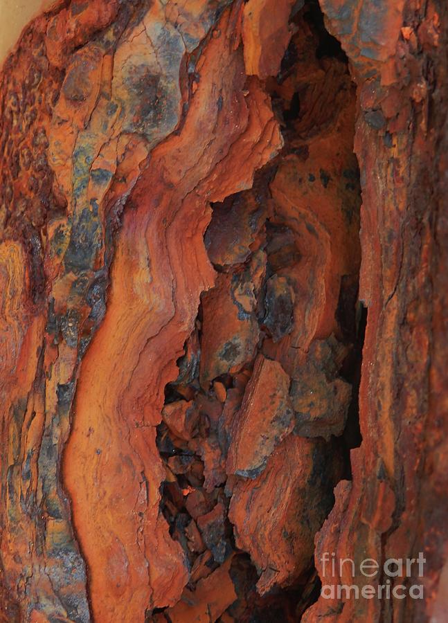The Beauty of Rust Photograph by Marcia Lee Jones