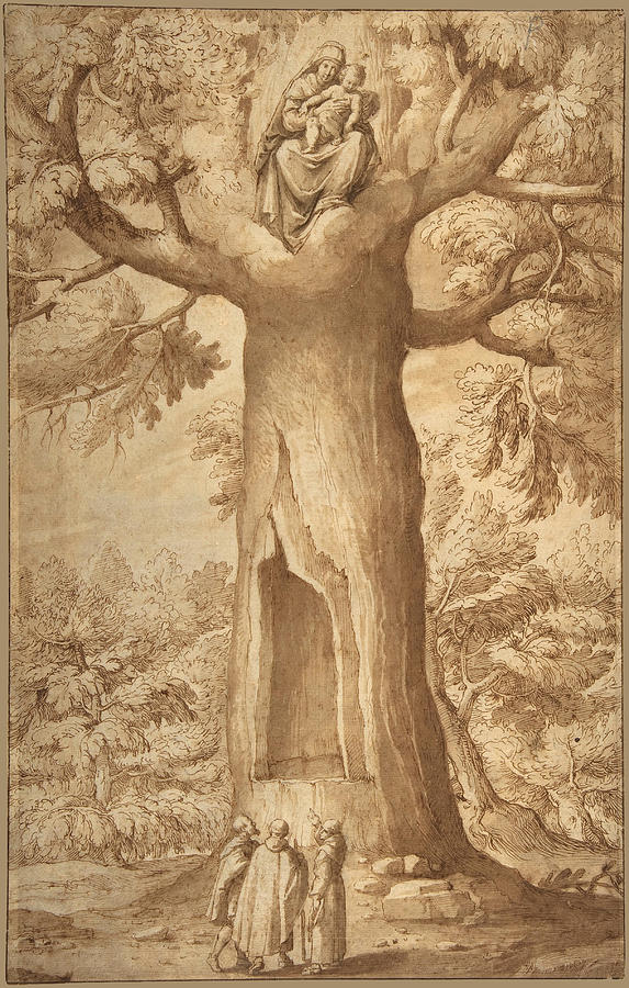 Jacopo Ligozzi Drawing - The Beech Tree of the Madonna at La Verna by Jacopo Ligozzi