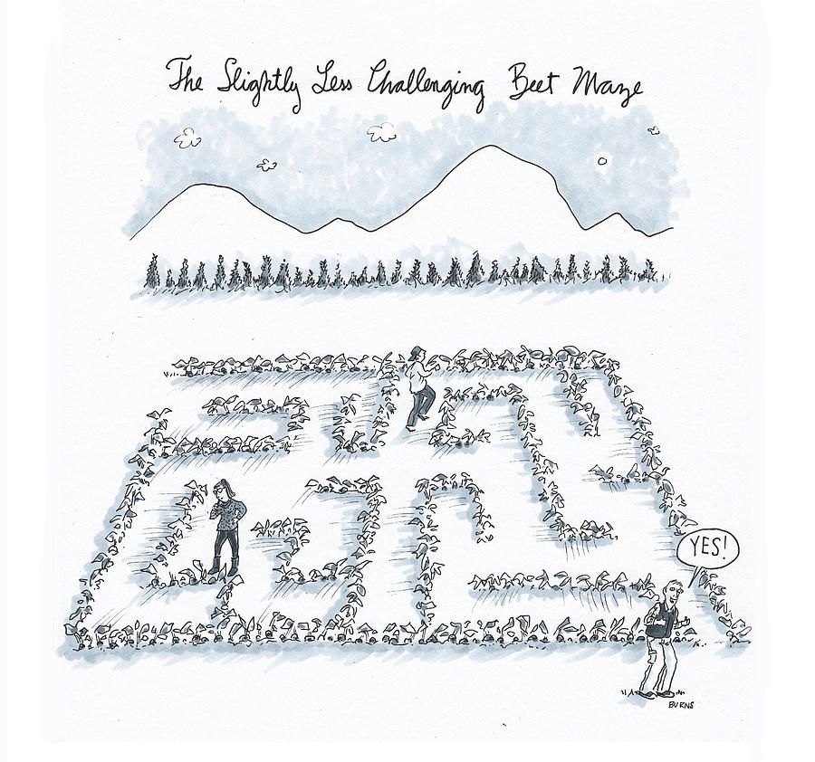 The Beet Maze Drawing by Teresa Burns Parkhurst