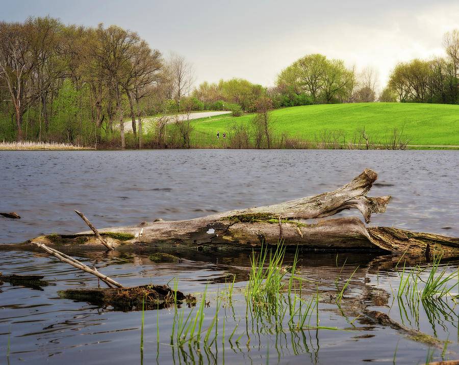 The Bend on Rutland Dunn -  spring pond scene in rural Wisconsin Photograph by Peter Herman