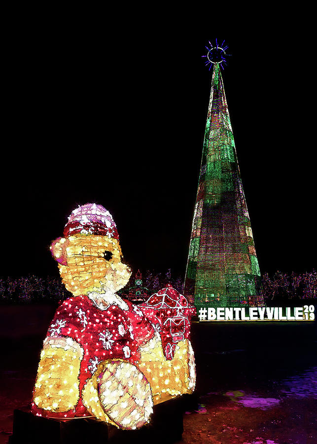 The Bentleyville Bear Photograph by Susan Rissi Tregoning