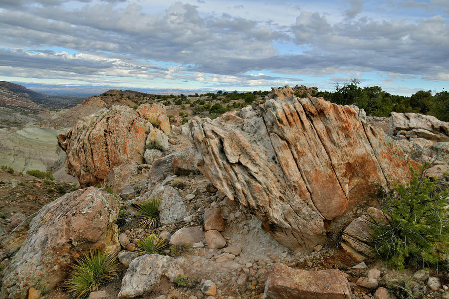 The Bentonite Sites Ornate Boulders Photograph by Ray Mathis