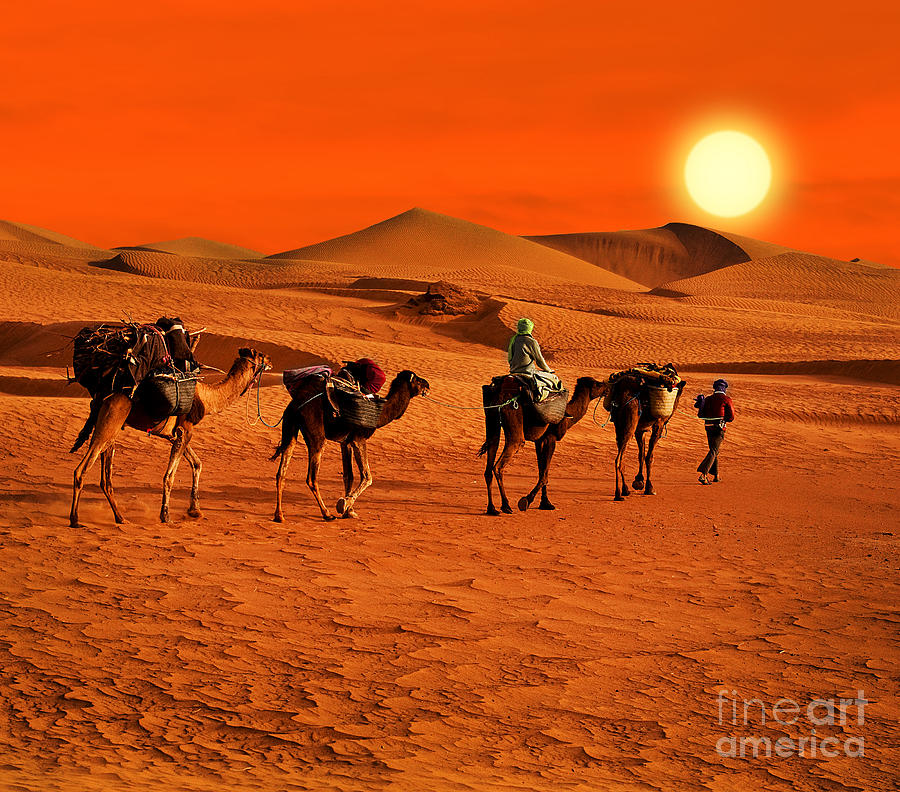 Color Photograph - The Berbesky Tribe Passes The Desert In by Seqoya Color Photograph - The Berbesky Tribe Passes The Desert In by Seqoya