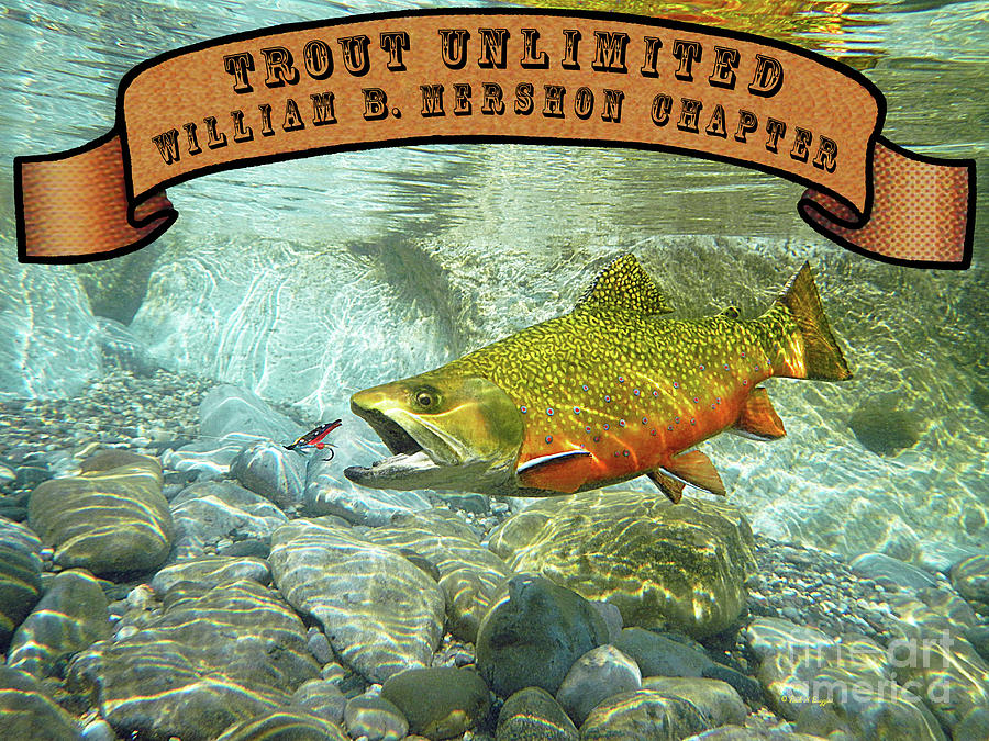 The Best Trout Fishing Wet Fly - 