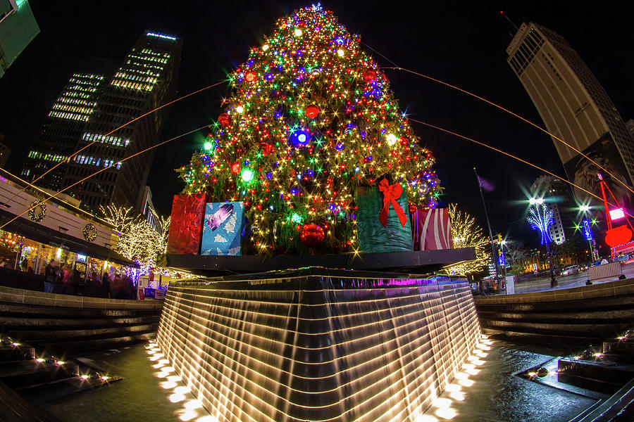 The Big Christmas Tree Photograph by Jay Smith