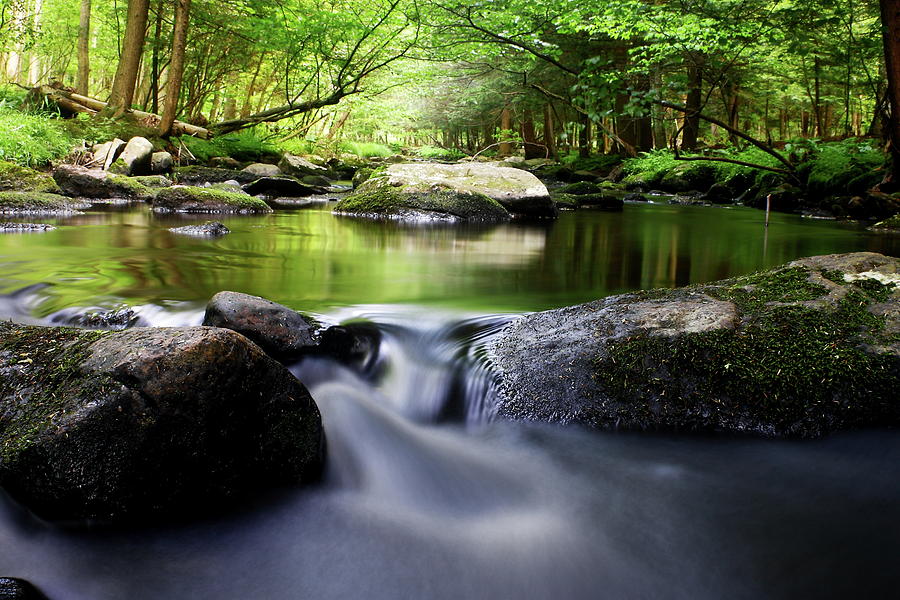 The Big Flatbrook Photograph by Dawn Benko Fine Art America