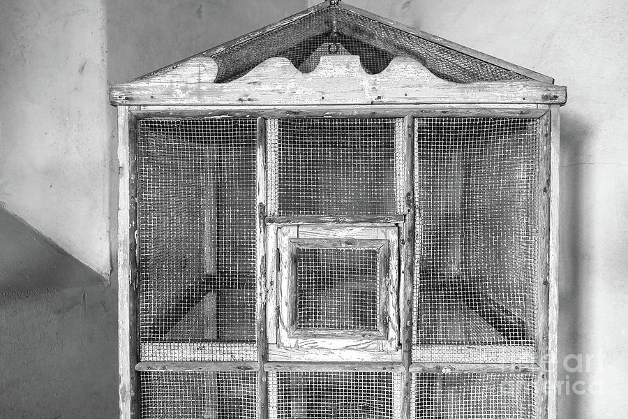 The Bird Cage Photograph by Edward Fielding