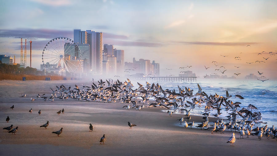 The Birds And The City Photograph by Jianping Yang