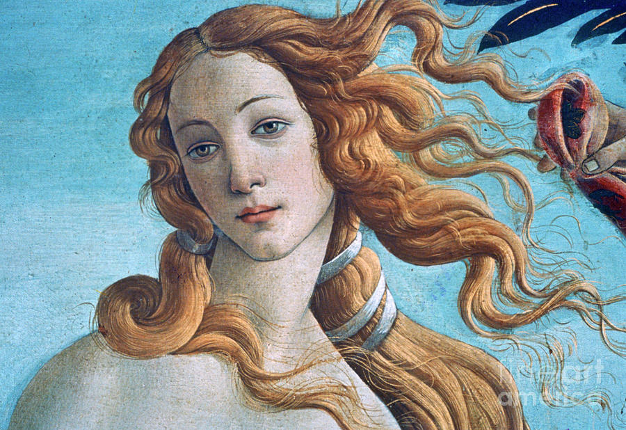 The Birth Of Venus Detail, C1485 Drawing by Print Collector