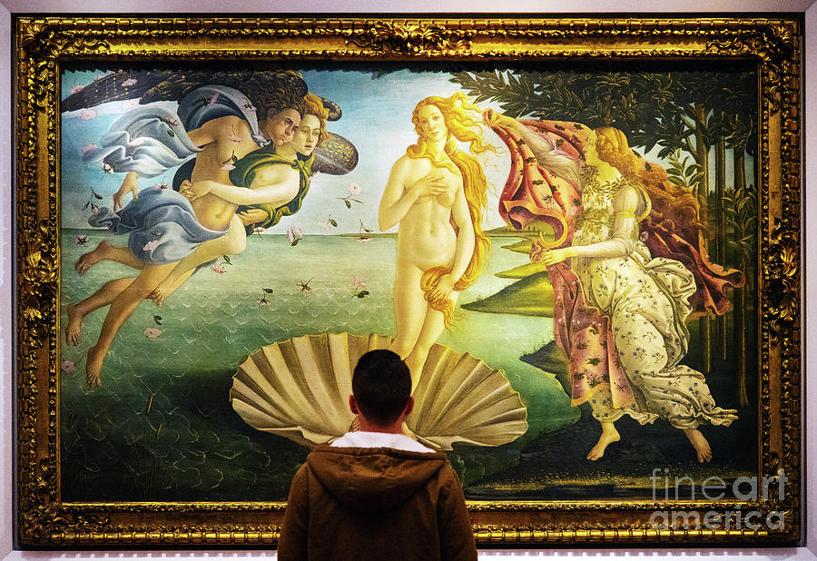 The Birth of Venus Sandro Botticelli Uffizi Gallery Florence Italy  Photograph by Wayne Moran