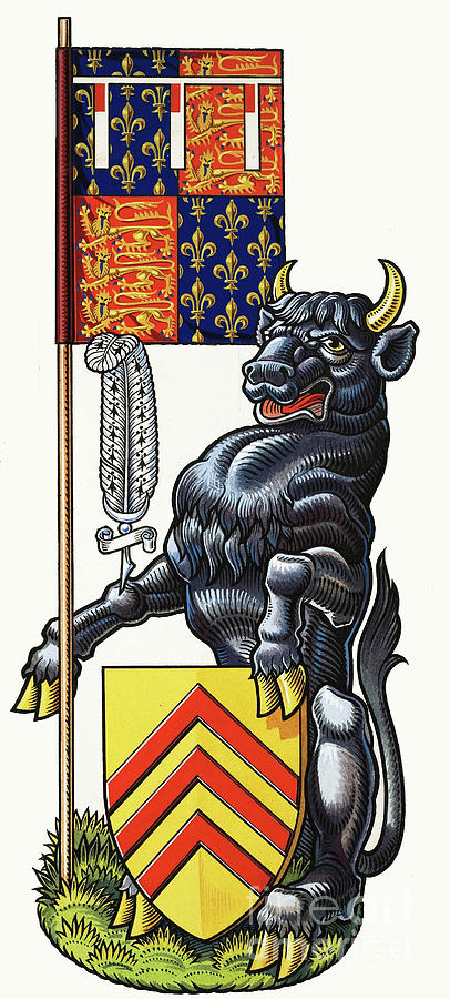 The Black Bull Of Clarence Coat Of Arms by Dan Escott