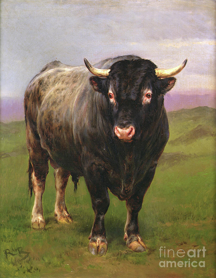 The Black Bull Painting by Rosa Bonheur - Fine Art America