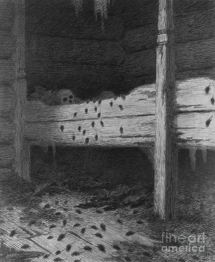 The Black Death Drawing by O Vaering by Theodor Kittelsen