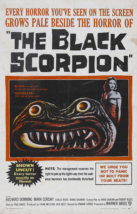 Movie Poster Photograph - The Black Scorpion -1957-. by Album